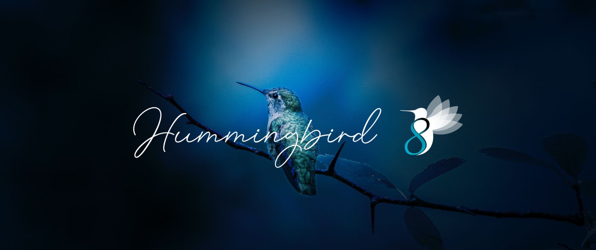 Hummingbird release