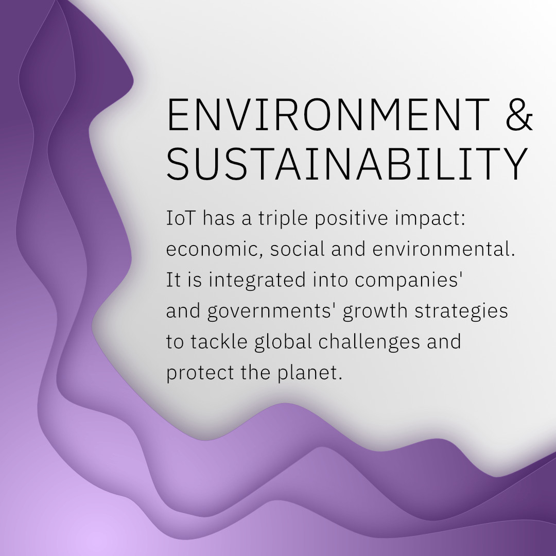 Environment & Sustainability