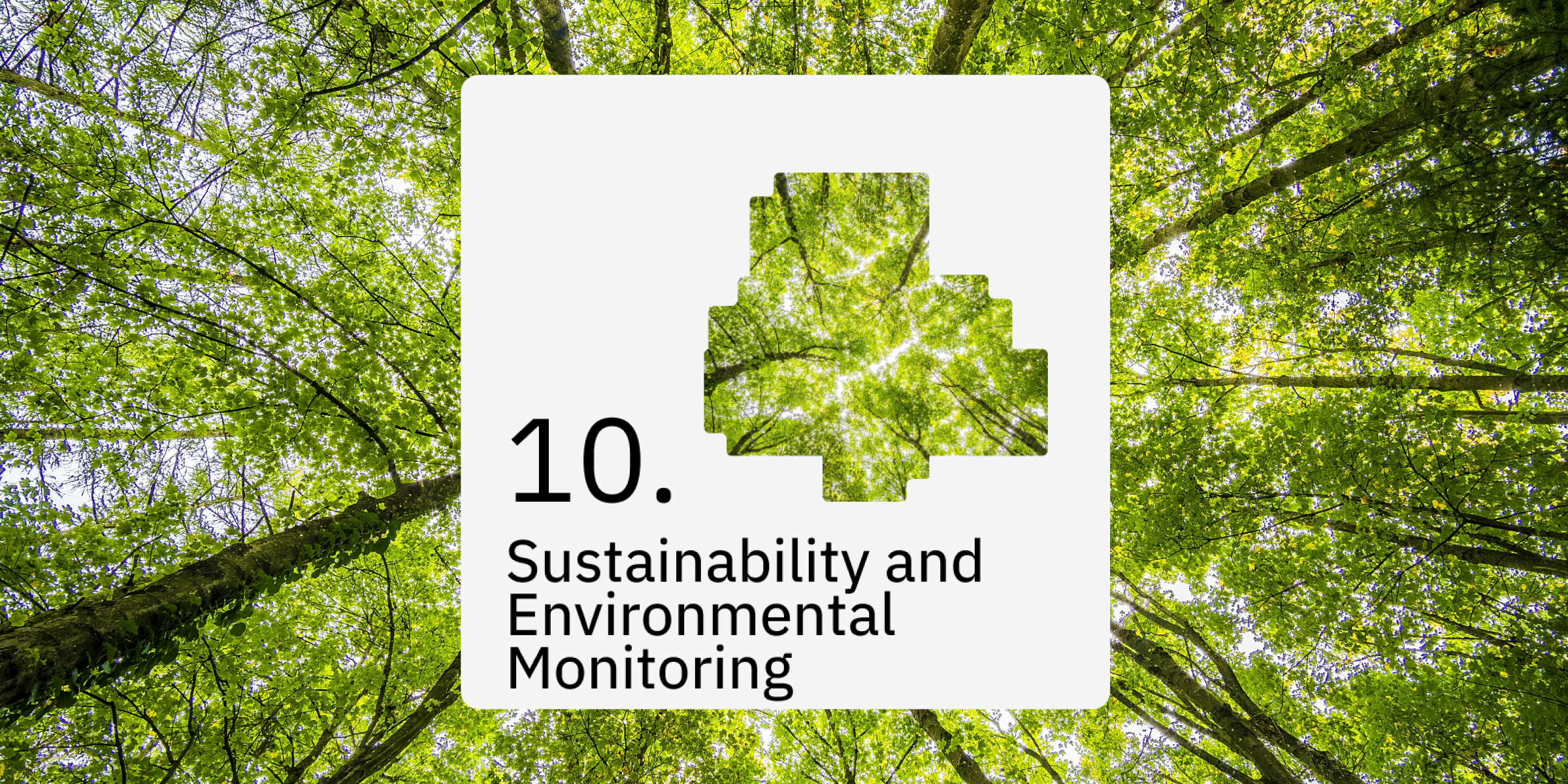 Sustainability and Environmental Monitoring