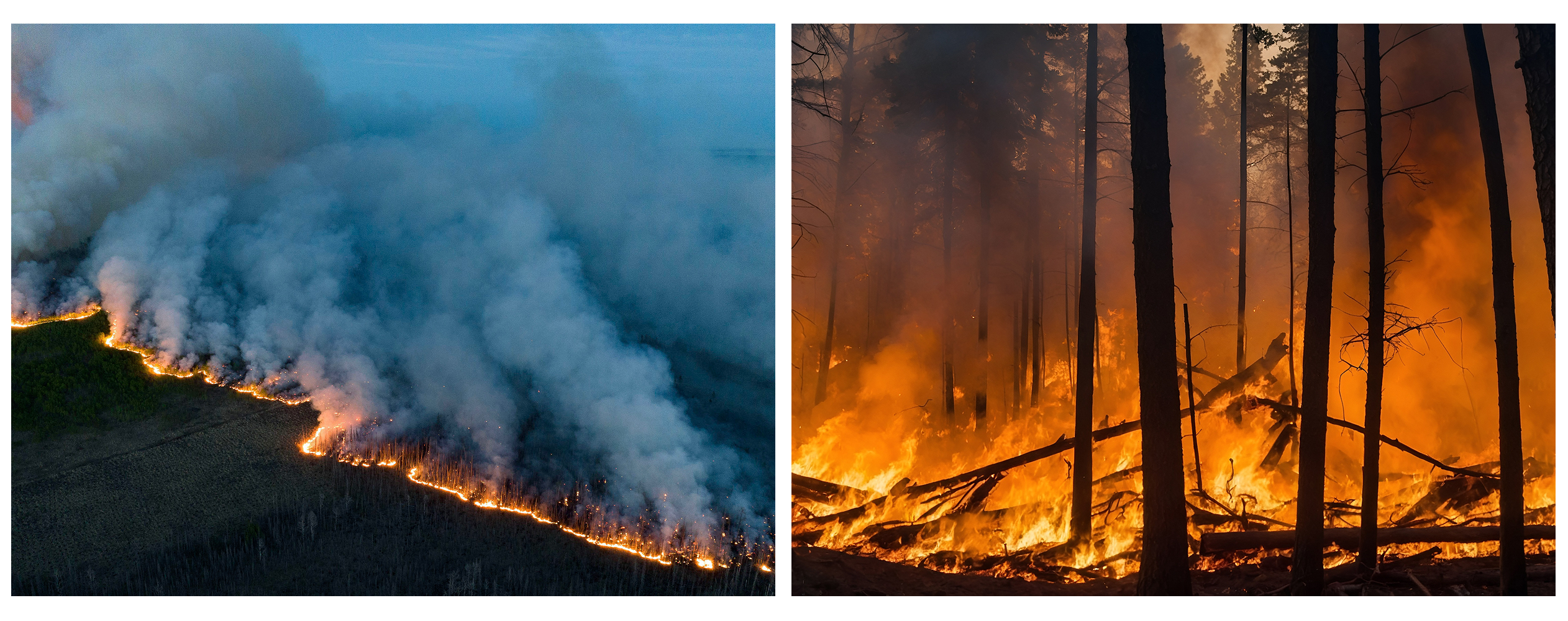 Wildfires