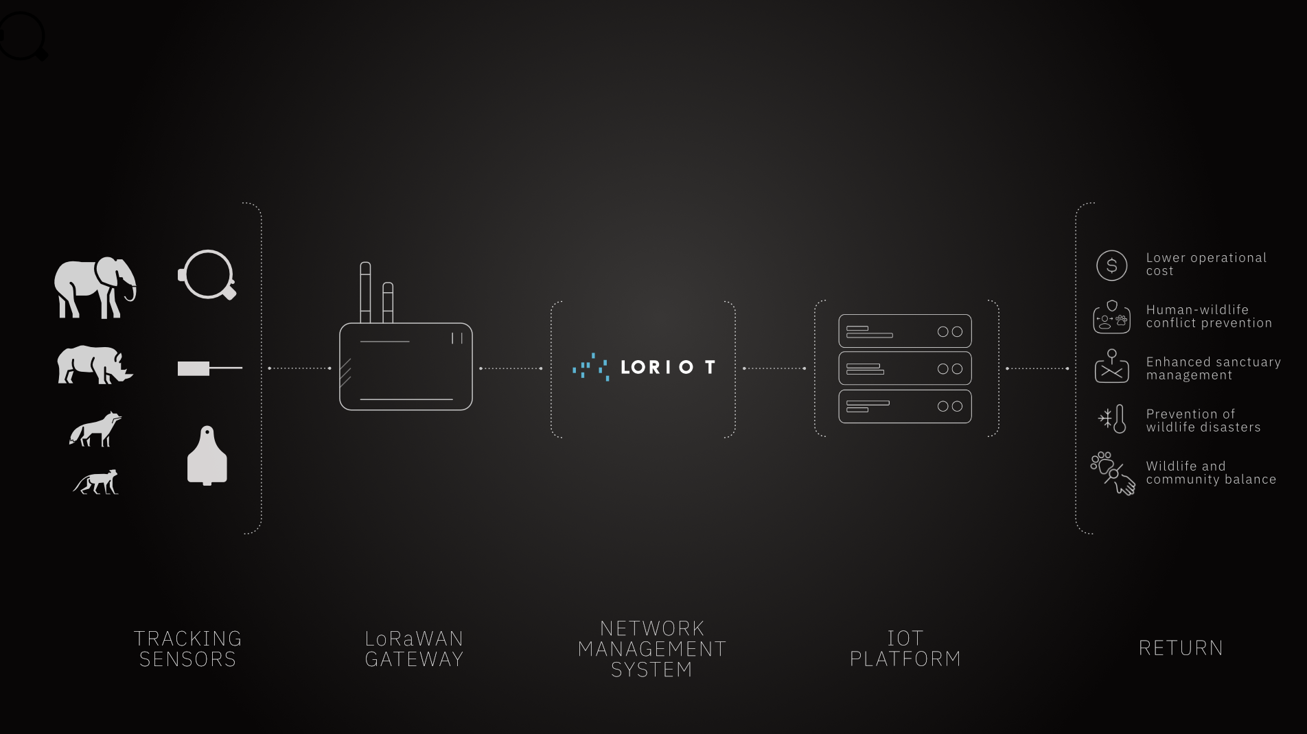 Africa Wildlife Tracking - architecture