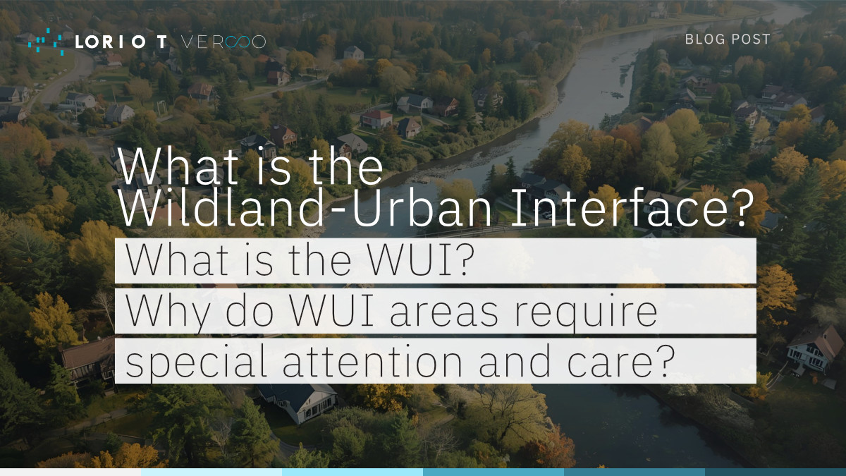 What is the Wildland-Urban-Interface?