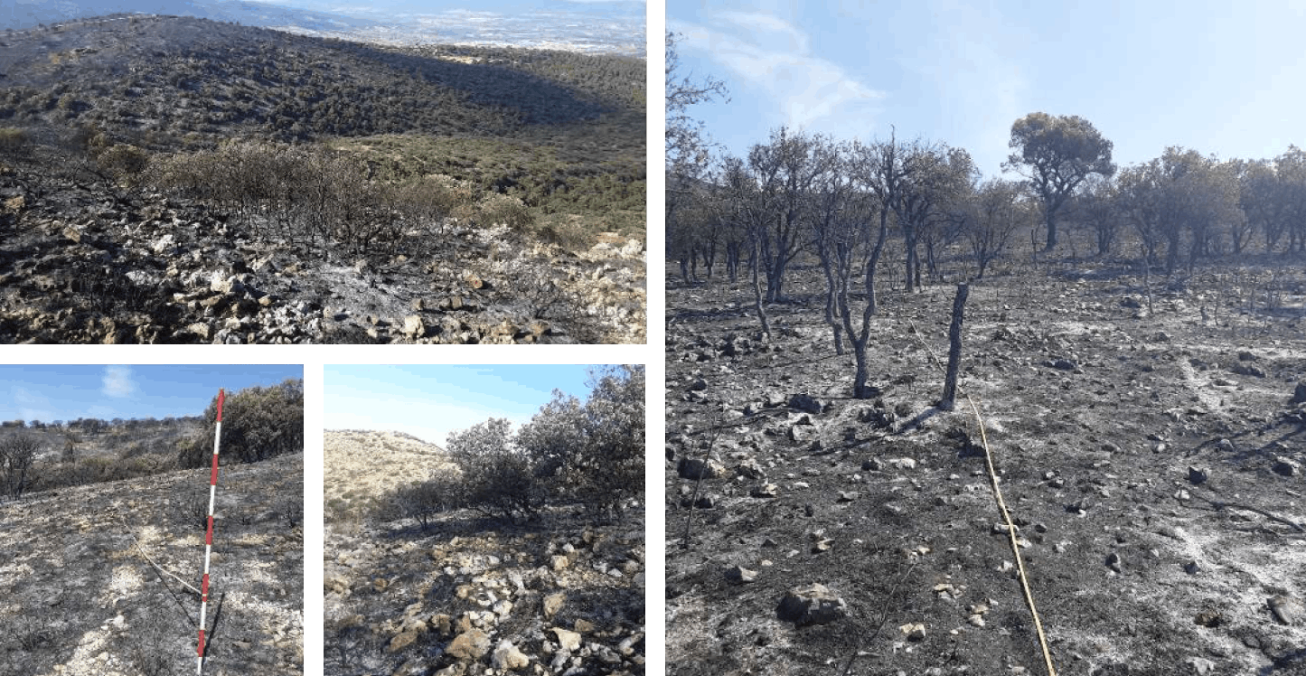 Alcoy Wildfires in 2025