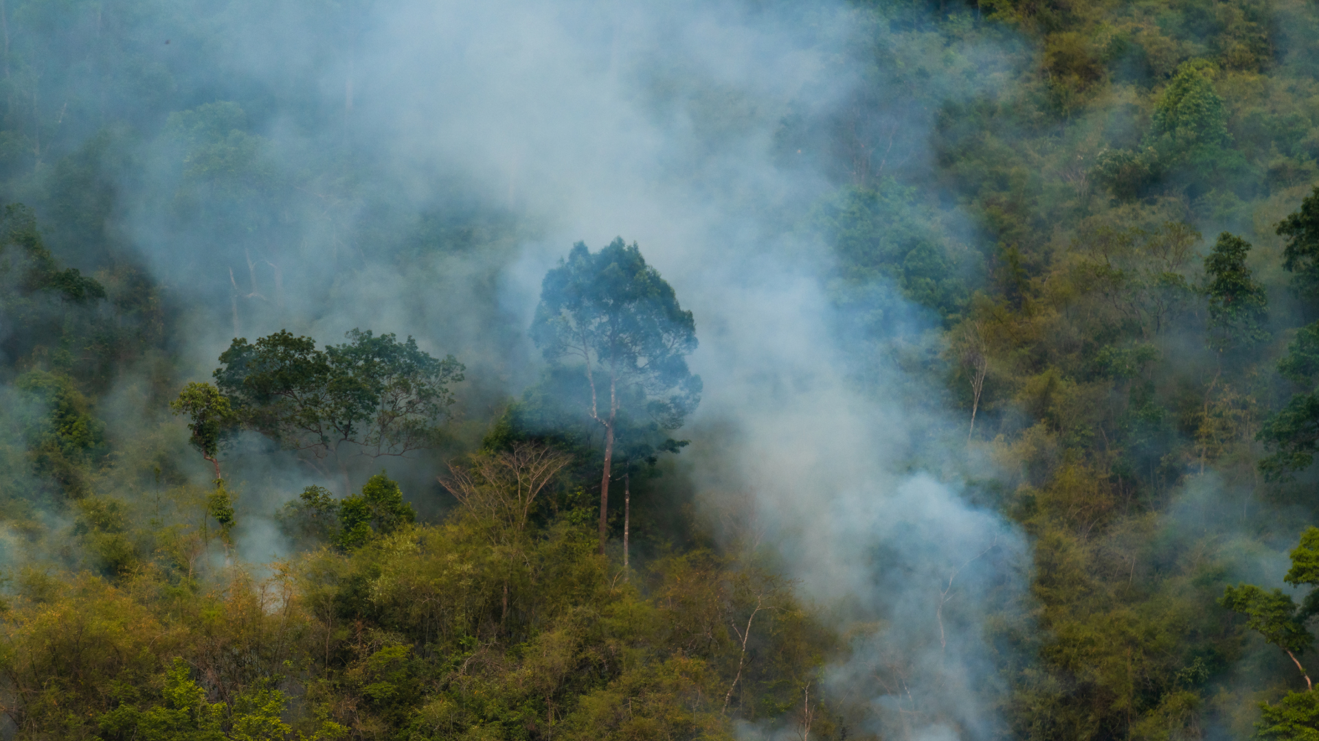 LORIOT Verso Solutions